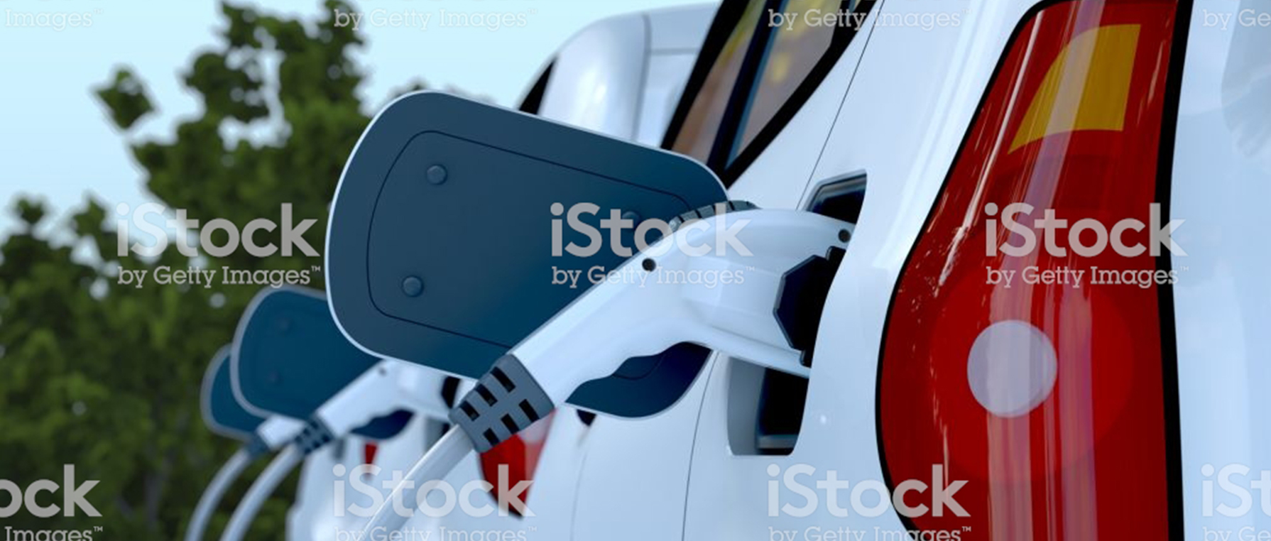 Municipal Electric Fleet